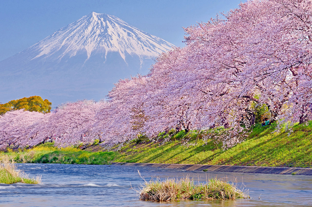 Spring in Japan (March to May)