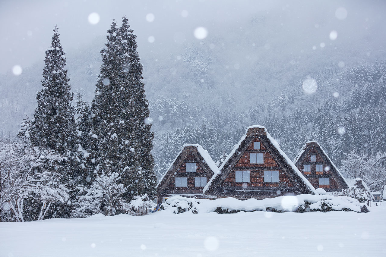 Winter in Japan (December to February)